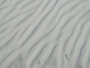 Rippled Sand Calm